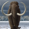 Punya Kemiripan DNA dengan Gajah Asia, Mammoth Diprediksi Akan Hidup Lagi di 2028