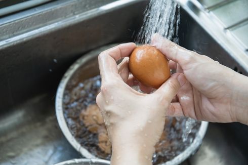 6 Kesalahan Simpan Telur, Jangan Cuci Sebelum Simpan 
