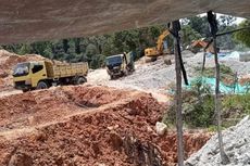 Ada 87.000 Hektar Lubang Bekas Tambang, Pohon Kaliandra Alternatif Reklamasi