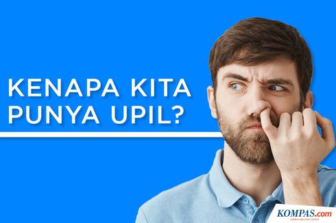 INFOGRAFIK: Misteri Tubuh Manusia, Kenapa Kita Punya Upil?