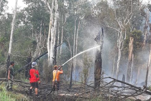 138 Hektare Lahan di Taman Nasional Danau Sentarum Terbakar