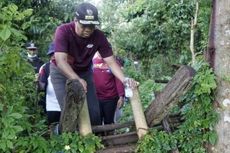 Jalan Kaki 7 Jam Sejauh 27 Km di Sumbawa, Gubernur NTB: Alam Kita Indah Kalau Hutan Terjaga