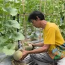 Aturan Offset Emisi Pertanian Hampir Terbit, Pembagian Manfaat untuk Petani Tunggu Juknis