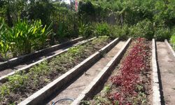 Sulteng Dukung Penuh Peningkatan Daya Saing Produk Pertanian