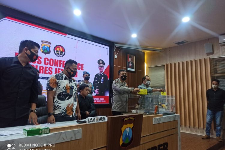 Dua burung cendrawasih yang merupakan satwa dilindungi diamankan Polres Jember 