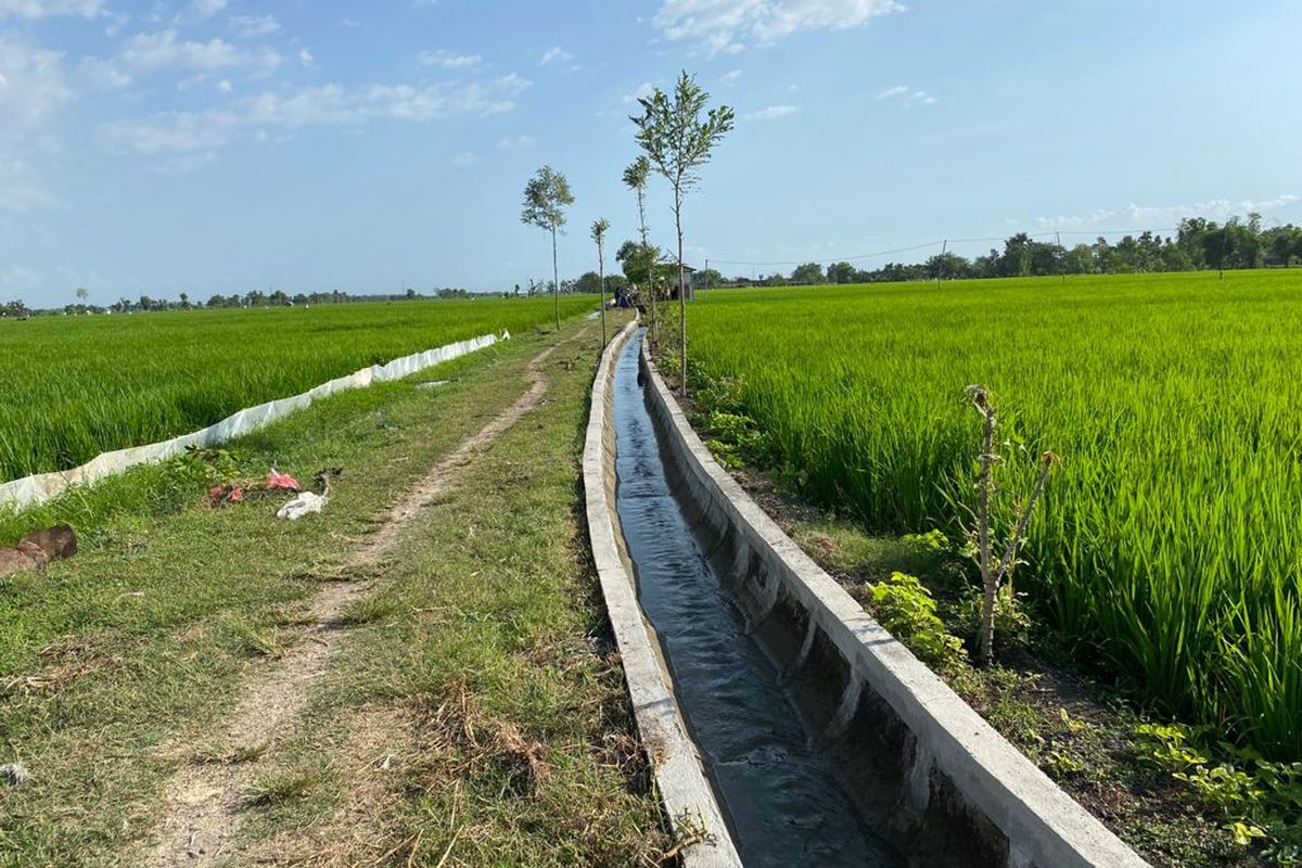 Saluran irigasi pertanian jadi solusi Kementan untuk maksimalkan produktivias pertanian.