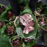 Tips Olah Daging Kurban ala Chef, Jangan Langsung Dimasak