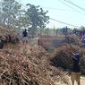 Bulog dan PT GMM Temui Petani Tebu, Bahas Penyerapan Hasil Panen