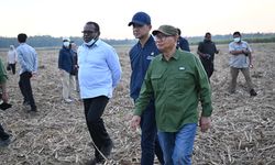 Temui Perkebunan Besar Tebu, Mentrans Ajak Kolaborasi Riset dan Usaha