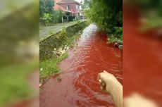 Fenomena Air Merah Pekat di Sungai Cirebon, Dinas Lingkungan Hidup Terjun Langsung