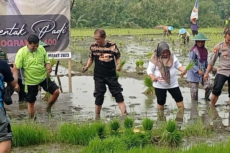 Dinas Tanaman Pangan, Hortikultura, Perkebunan dan Ketahanan Pangan Kabupaten Magetan, Jawa Timur memperluas luasan lahan tanaman padi IP 400 menjadi 15 hektar dari program sebelumnya hanya 2 hektar. Perluasan lahan pertanian tanaman padi IP 400 untuk meningkatkan kuantitas hasil gabah petani.