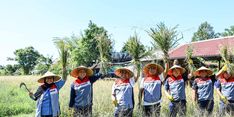 Dorong Kemandirian Masyarakat, Pertamina Genjot Program DEB Uma Palak Lestari