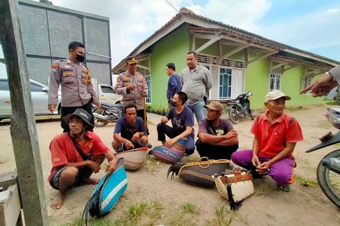 Judi Sabung Ayam Berkedok Kontes Berkokok di Lampung Digerebek, 13 Orang Jadi Tersangka