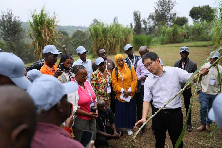 Pakar Juncao asal China, Lin Hui, memberikan penjelasan kepada para peserta pelatihan di Pusat Peragaan Teknologi Pertanian China-Rwanda (China-Rwanda Agriculture Technology Demonstration Center) di Distrik Huye, Rwanda, Kamis (17/7/2025).  