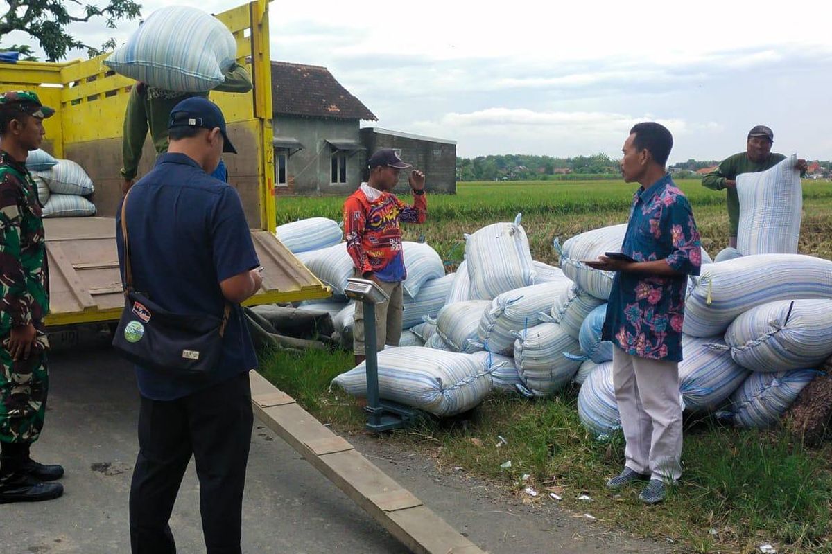 Pimpinan Perum Bulog Kancab Kediri, Imam Mahdi menyampaikan, saat ini Bulog Kancab Kediri sangat siap dan serius dalam menyerap gabah serta beras petani.