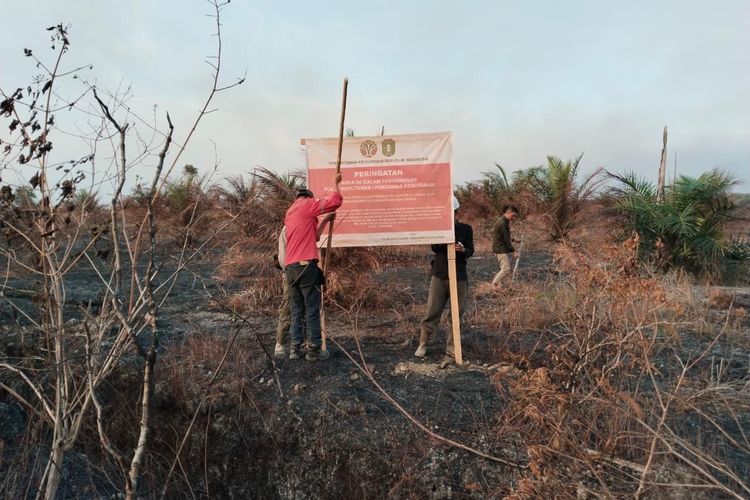 Kemenhut Periksa 4 Perusahaan di Kalbar Terkait Karhutla, Terancam Sanksi