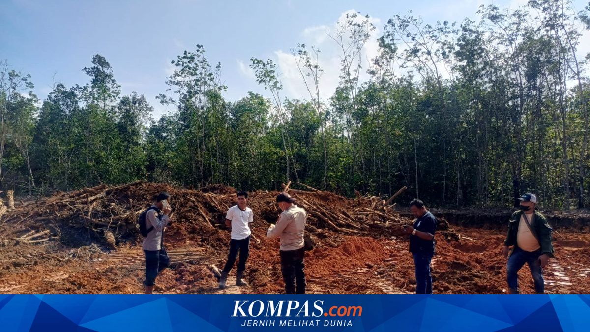 Karyawan Tambang Ditembak di Banyuasin hingga Luka Berat di Kepala, Polisi Buru Pelaku