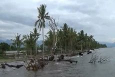 Pantai Mampie Alami Abrasi Diterjang Gelombang Tinggi Sebulan Terakhir