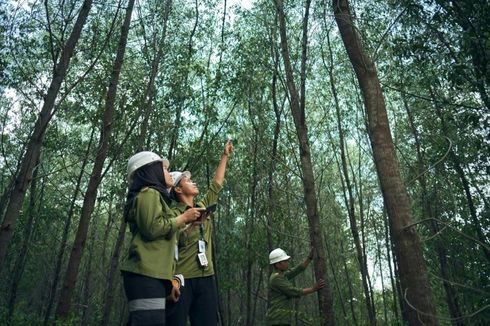 Menilik Potensi Industri Pulp dan Kertas Berkelanjutan sebagai Penggerak Perekonomian Indonesia