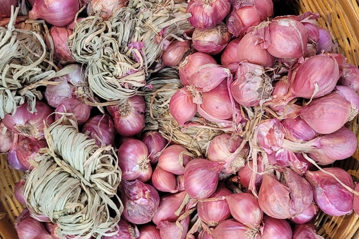 Ilustrasi bawang merah