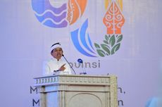 Luhut Jawab Kritik Negara dalam Negara di IMIP Morowali