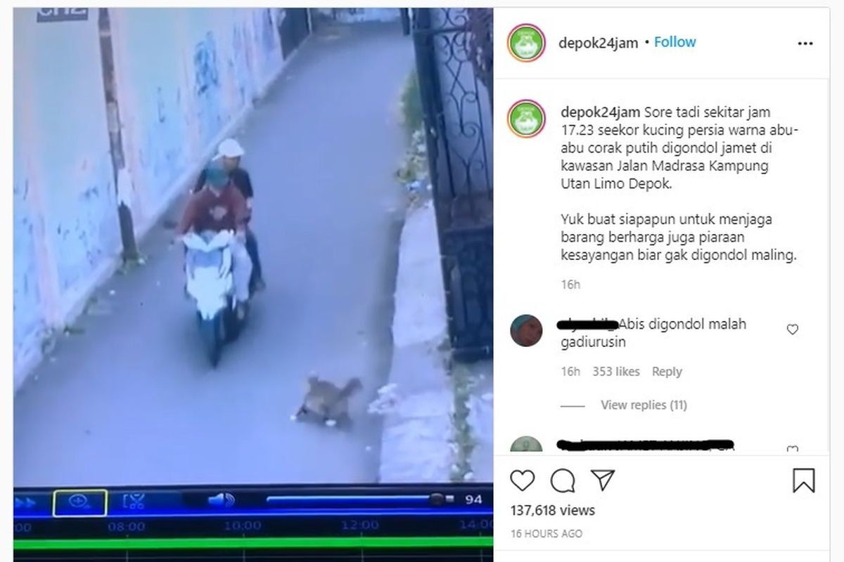 Video viral menunjukkan seekor kucing persia di Depok digondol pengendara motor.