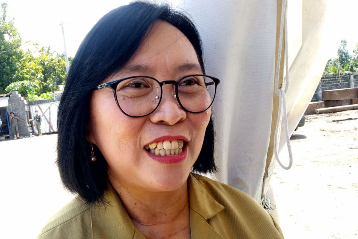 Kepala Dinas Kesehatan Kabupaten Blitar Christine Indrawati saat diwawancarai wartawan di RSUD Ngudi Waluyo, Wlingi, Senin (22/4/2024)