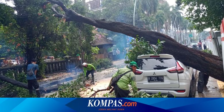 Mobil Tertimpa Pohon Tumbang di Masjid Cut Meutia, Bodi Sebelah Kanan Rusak Parah - Vimarsana News