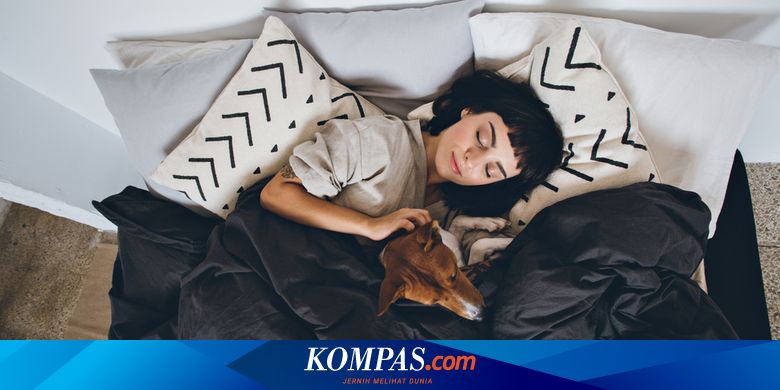 Sering Tidur Malam Bersama Anjing Apa Efeknya Pada Tubuh