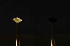 Ilmuwan Ciptakan Material Paling Hitam di Bumi, Bisa Hilangkan Berlian