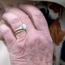 Cerita di Balik Cincin Pertunangan Ratu Inggris yang Harganya Fantastis
