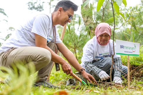 Lingkungan Lebih Hijau dan Hasilkan Cuan, Nasabah Ungkap Manfaat Program BRI Menanam