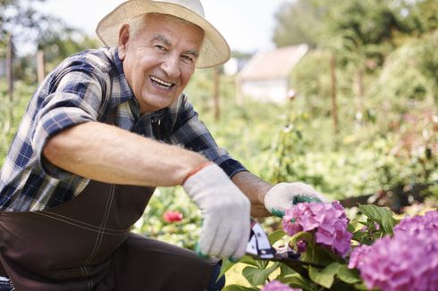 Tak Hanya Olahraga, Berkebun Juga Bisa Buat Umur Panjang