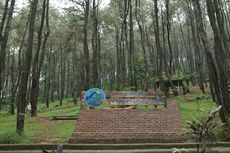 Camping di Hutan Pinus Pasir Langlang Panyawangan Purwakarta