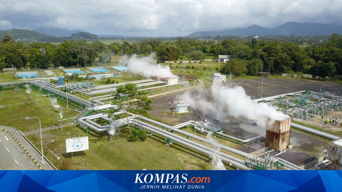 Percepat Produksi Hidrogen Hijau, PGE-Pertamina NRE Gandeng Perusahaan ...