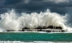 BMKG Prediksi Pasang Laut Tinggi Awal Januari 2026, Ini Wilayah Pesisir Kaltim yang Terdampak