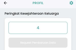 Apa Itu Desil? Cek Kelompok Desilmu, Ini Pengaruhnya ke Bansos