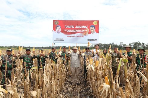 Panen Jagung “Food Estate”, Kemenhan: Ke Depan Akan Kami Perbanyak Tanam Singkong dan Kedelai