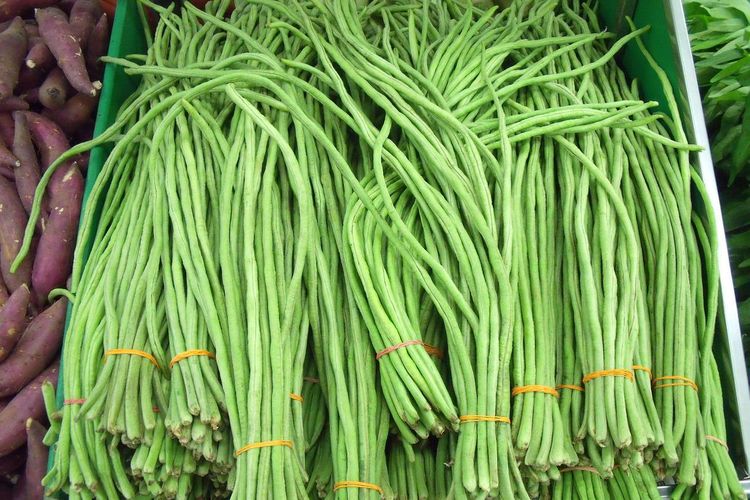 Sayuran kacang panjang