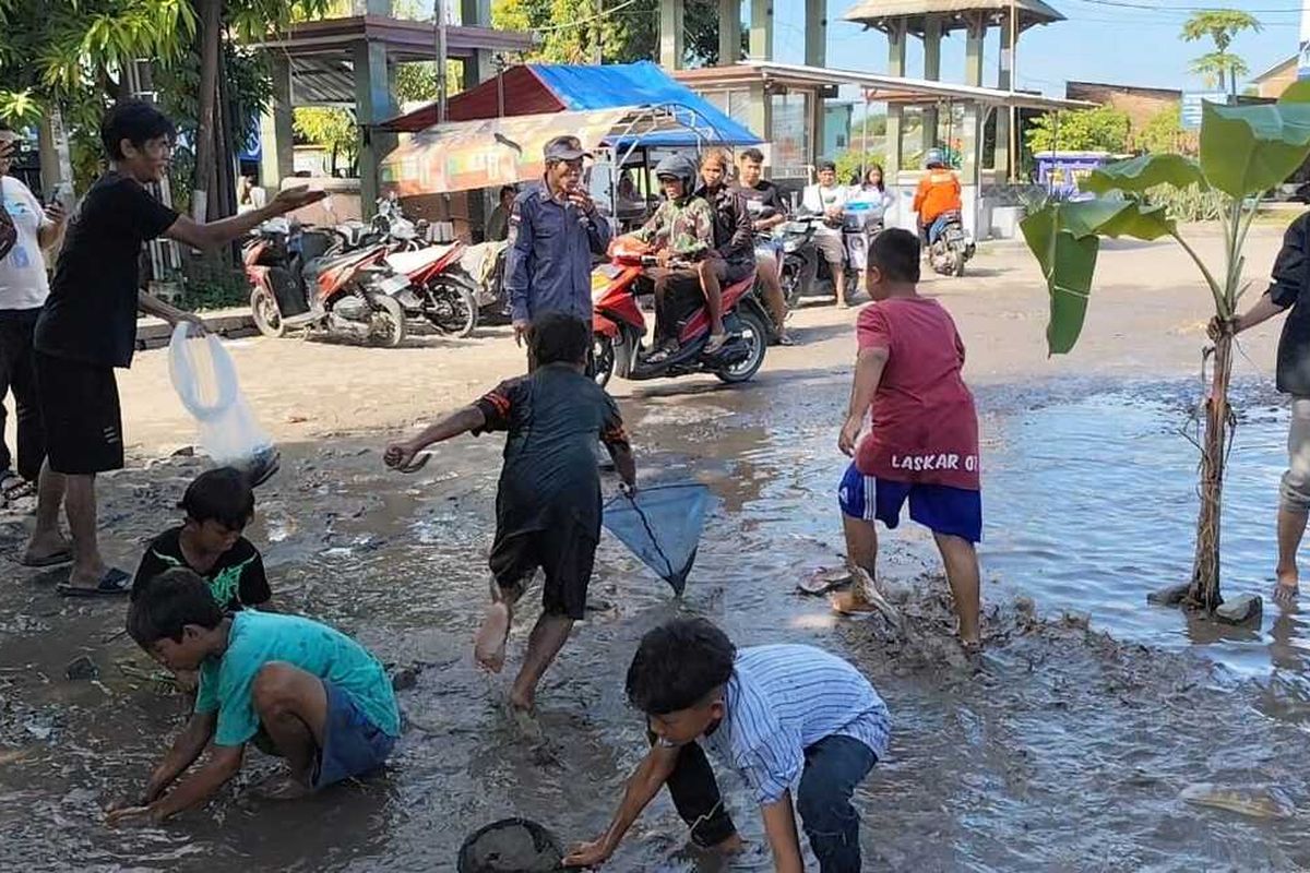Sejumlah warga menanam ikan lele dan direbutkan oleh warga sekitar di jalan Ki Natagama Desa Kaliwulu Kecamatan Plered Kabupaten Cirebon Jawa Barat pada Selasa (20/5/2025) siang. Mereka menyindir pemerintah untuk segera memperbaiki jalan rusak yang menahun.