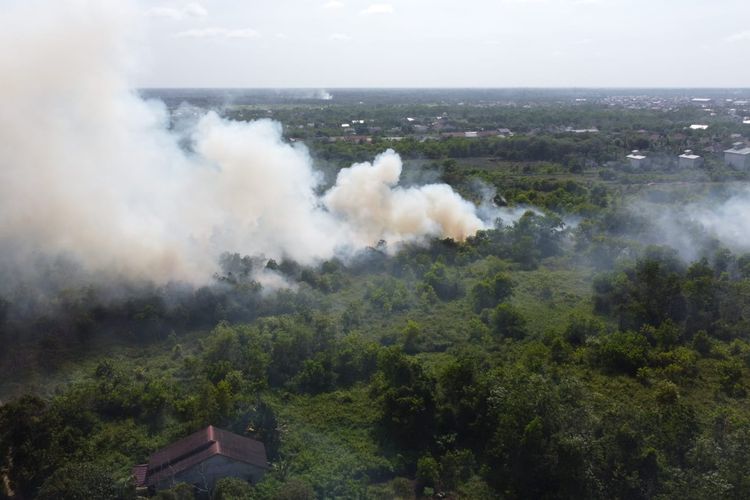 Kondisi lahan terbakar di Parit Demang, Kecamatan Pontianak Selatan, Kota Pontianak, Kalbar, Senin (21/2/2023).