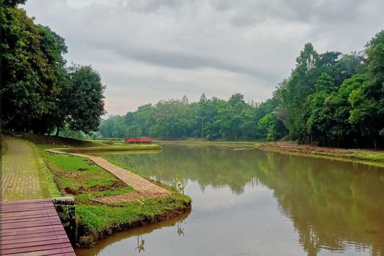 Pemandangan Danau Walini yang ada di Kebun Raya Cibinong, Bogor. 