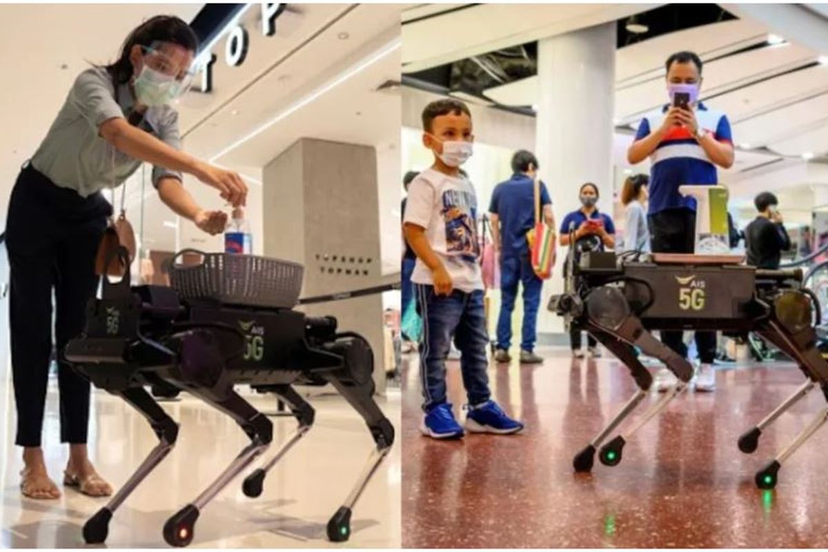 robot anjing pembawa hand sanitizer