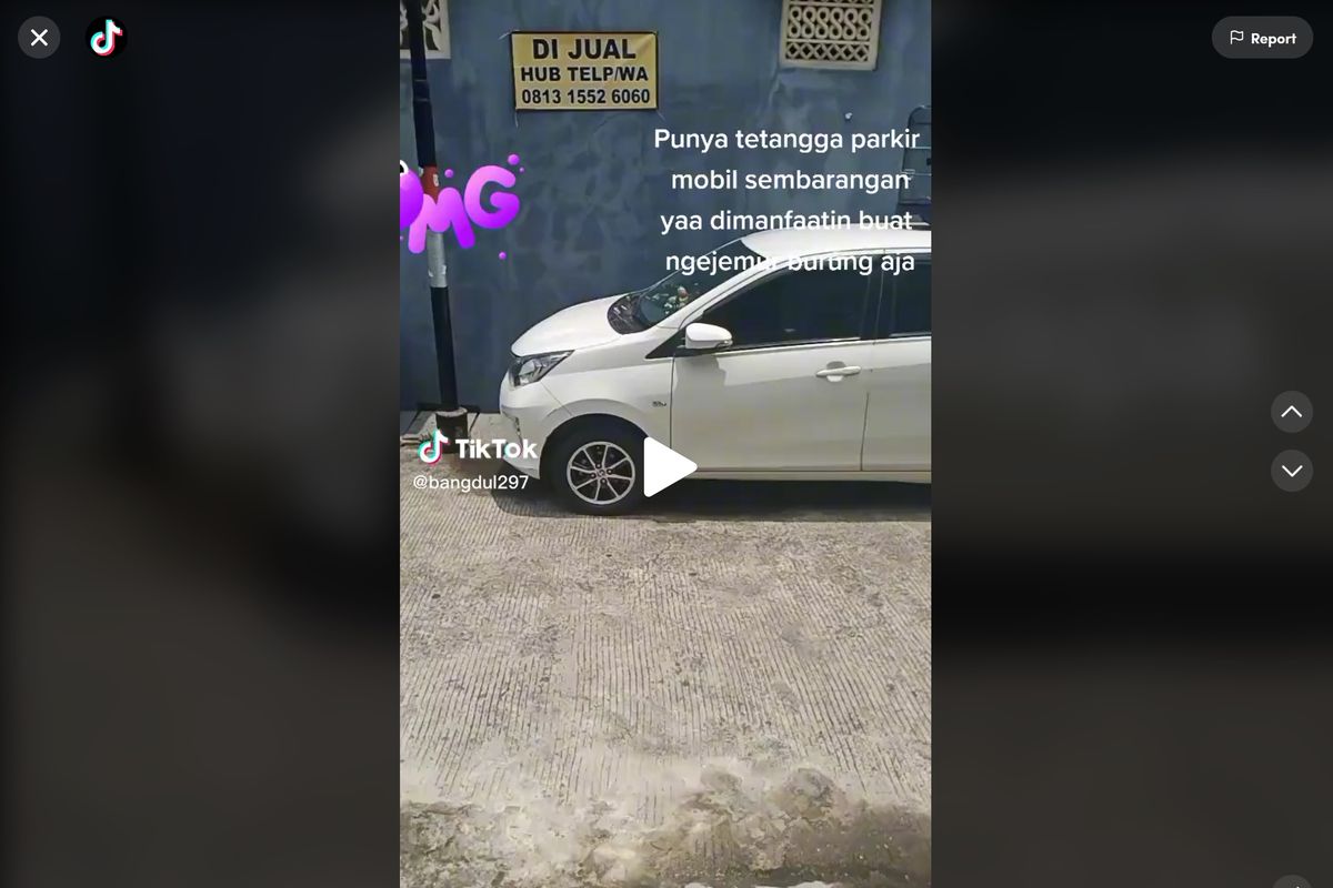 Mobil Tetangga Parkir Sembarangan, Dijadikan Jemuran Burung