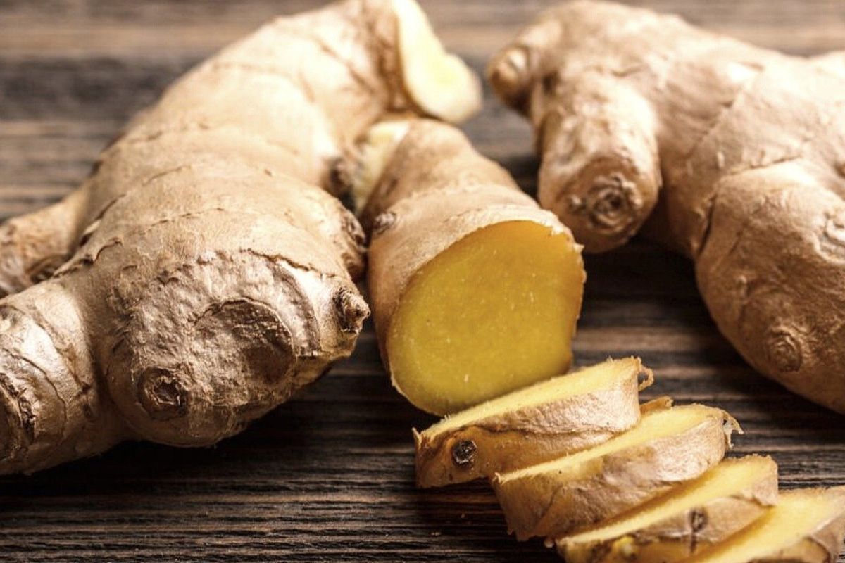 Jahe adalah salah satu bahan alami yang digunakan untuk membuat pestisida