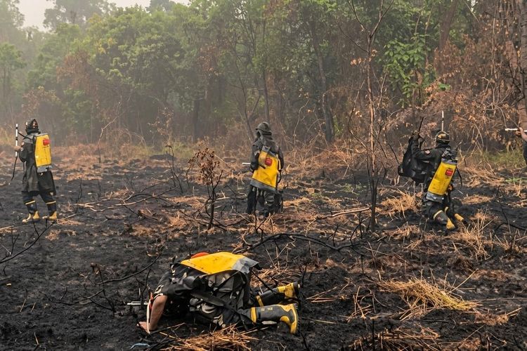 Sujud Syukur Petugas Pemadam di TN Way Kambas Saat Hujan Turun