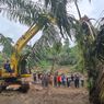 360 Hektar Lahan Sawit Ilegal di Taman Nasional Gunung Leuser Dimusnahkan