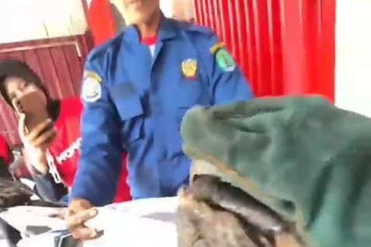 Seekor Trenggiling Bersembunyi di Body Motor Sebabkan Kendaraan Sulit Belok, Damkar Evakuasi dan Serahkan ke BKSDA