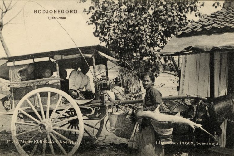 Foto cikar di Bojonegoro antara tahun 1900-1920