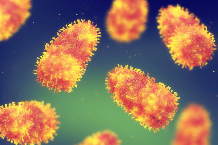 Stok 22.500 Dosis Vaksin Rabies di Sikka Kurang, Tak Sebanding Populasi Hewan Penular